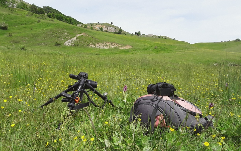 Una giornata tra le orchidee da Villetta Barrea a Scanno - 16 giugno 2021